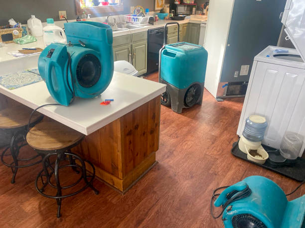 Best Professional water damage repair  in Buchanan, VA