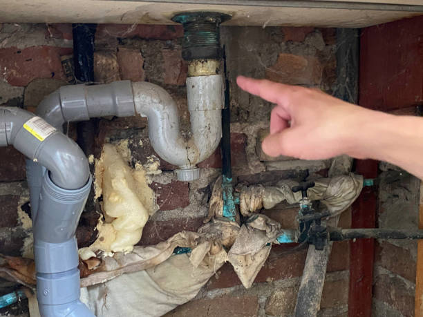 Best Mold removal after water damage  in Buchanan, VA