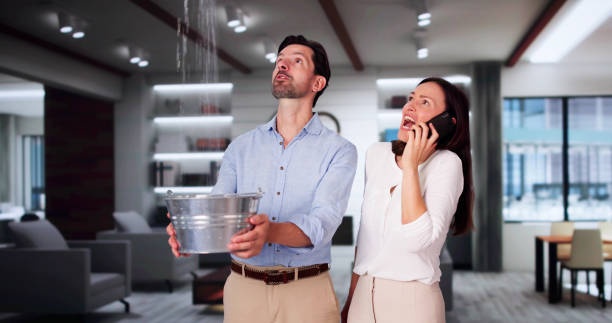 Best Flood restoration services  in Buchanan, VA