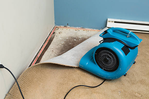 Best Ceiling water damage repair  in Buchanan, VA